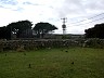 20000414.jpg